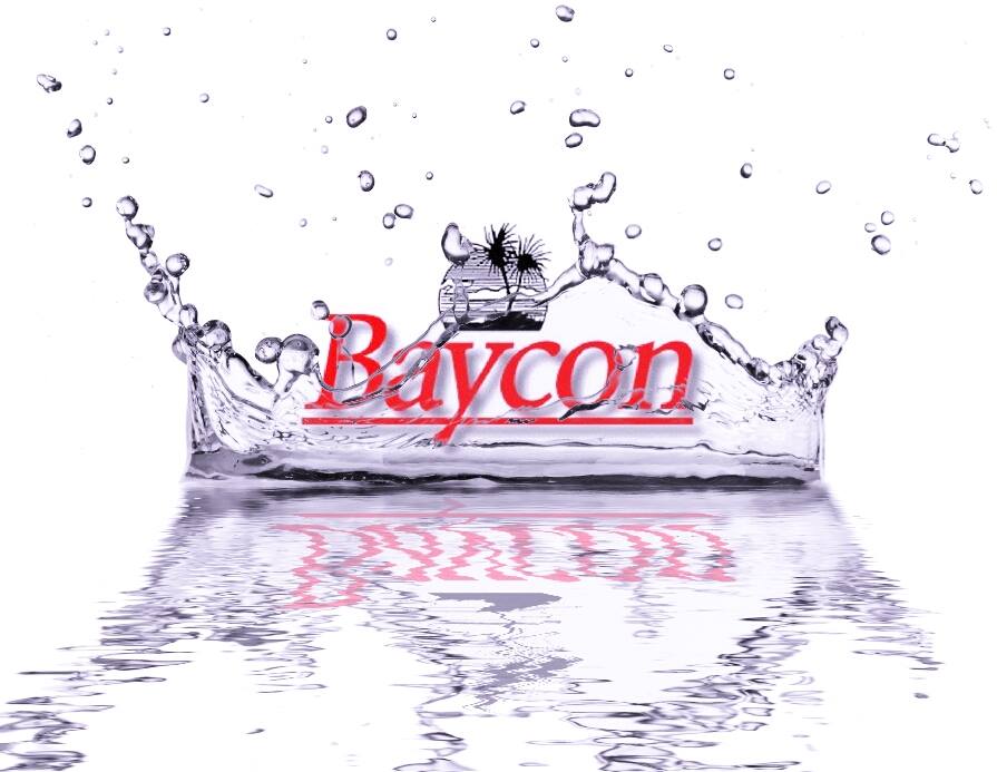 Baycon 2025 Convention Report